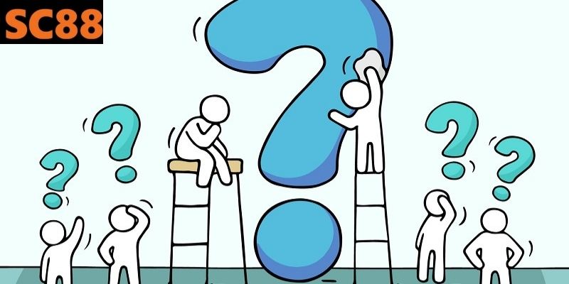 Câu hỏi thường gặp tại nền tảng