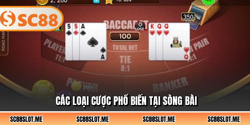 Các loại cược phổ biến tại sòng bài