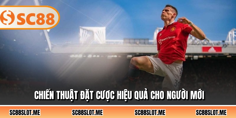 Chiến thuật đặt cược hiệu quả cho người mới