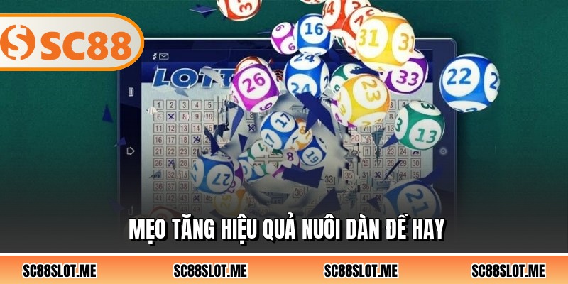 Mẹo tăng hiệu quả nuôi dàn đề hay