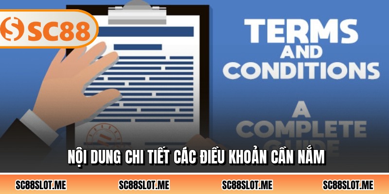 Nội dung chi tiết các điều khoản cần nắm