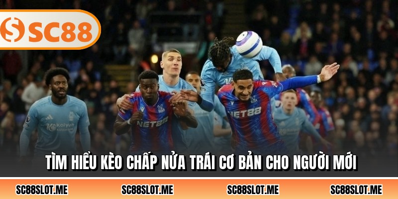 Tìm hiểu kèo chấp nửa trái cơ bản cho người mới