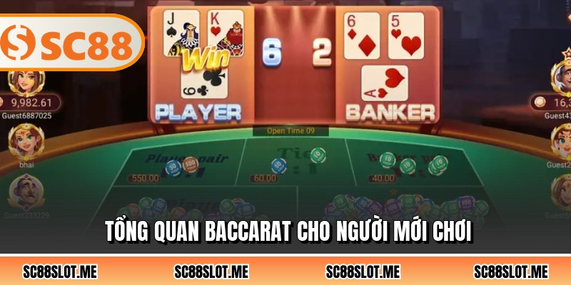 Tổng quan baccarat cho người mới chơi