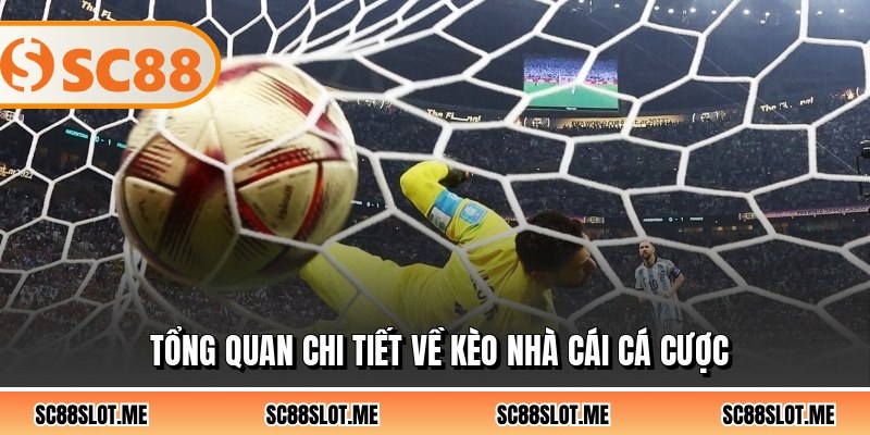 Tổng quan chi tiết về kèo nhà cái cá cược