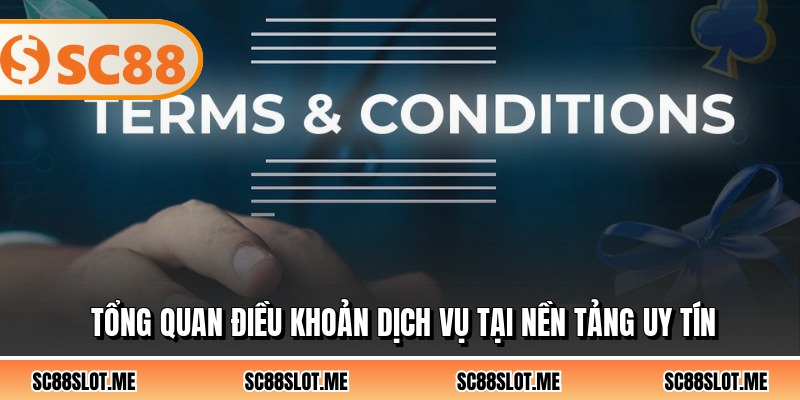 Tổng quan điều khoản dịch vụ tại nền tảng uy tín