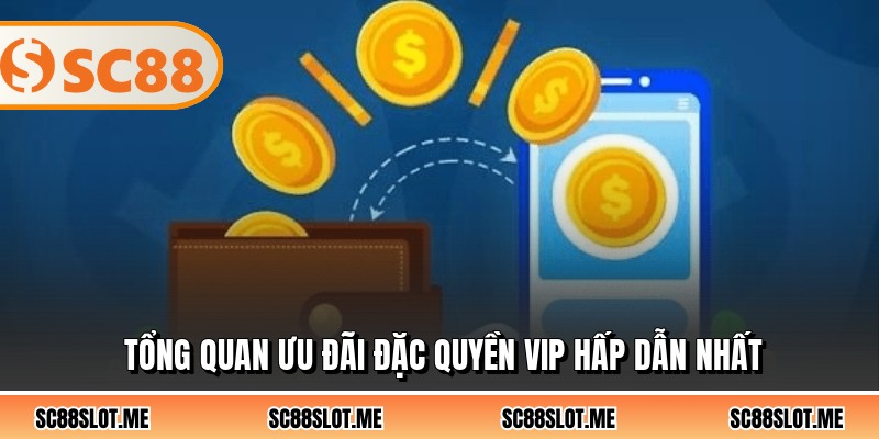 Tổng quan ưu đãi đặc quyền vip hấp dẫn nhất